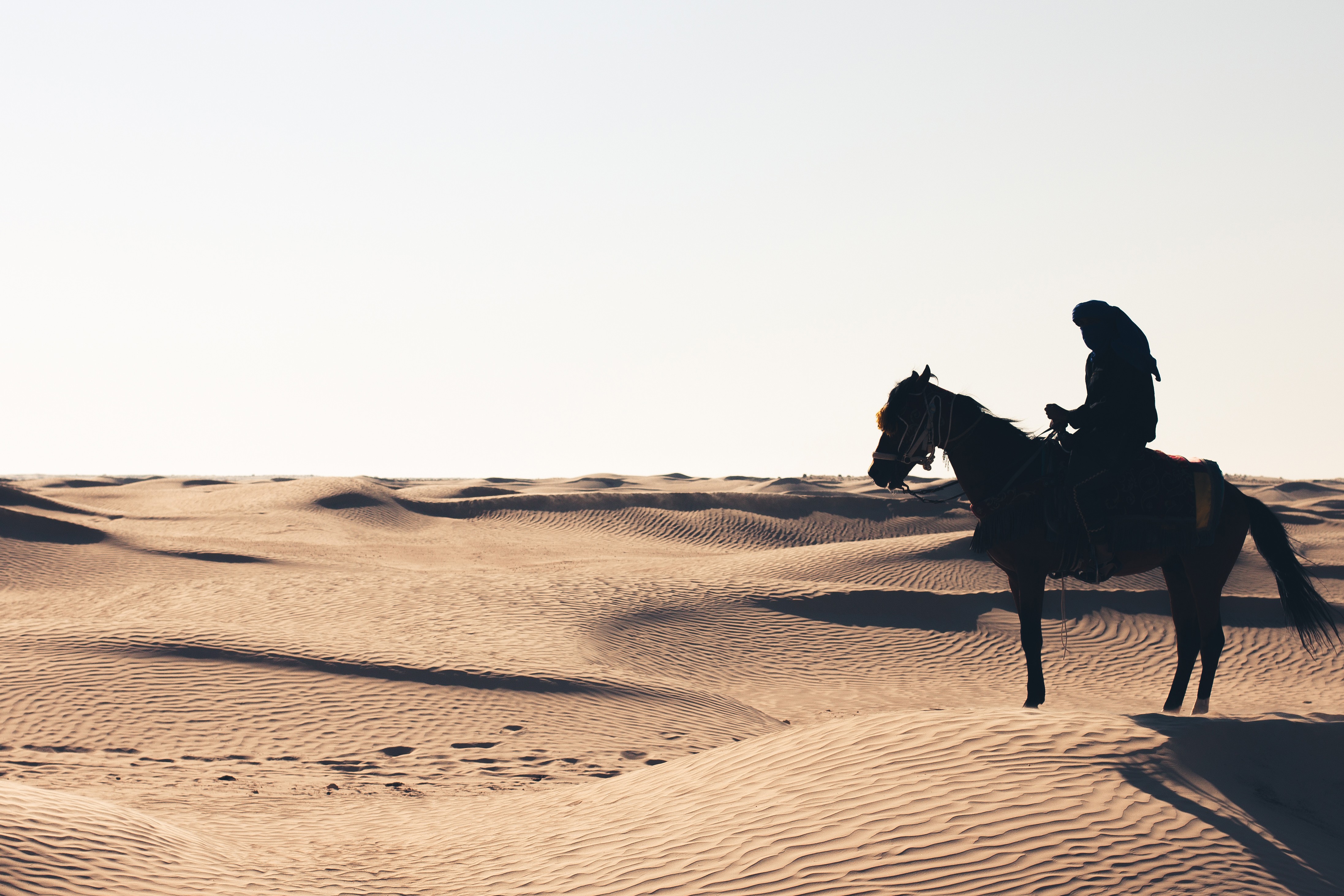 Arab riding