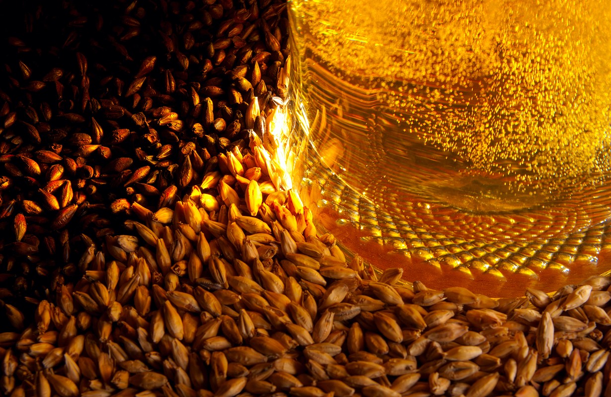 Malt and beer