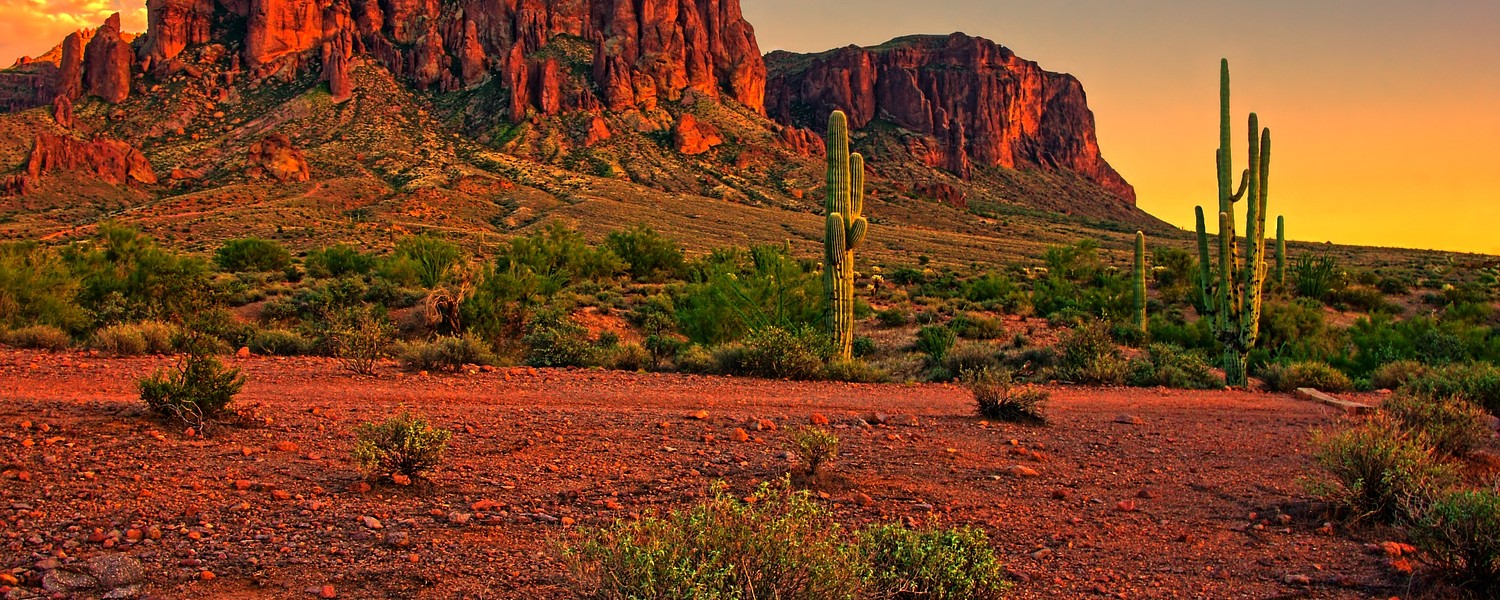 View of the Arizona desert