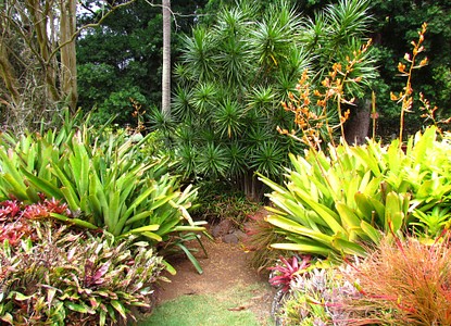 Allerton Garden Kauai Hawaii Arrivalguides Com