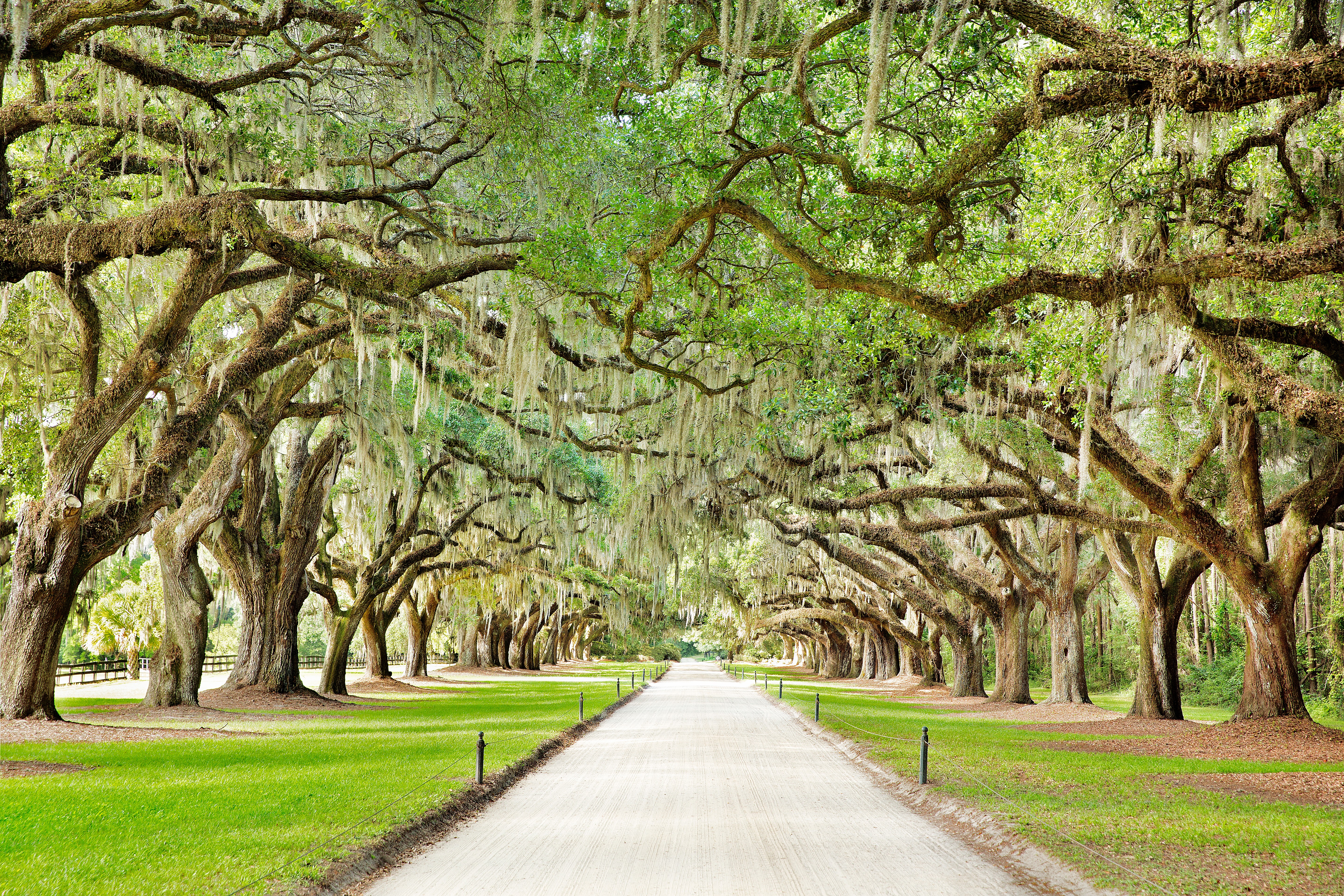 Boone Hall Plantation - Charleston, South Carolina - Arrivalguides.com.
