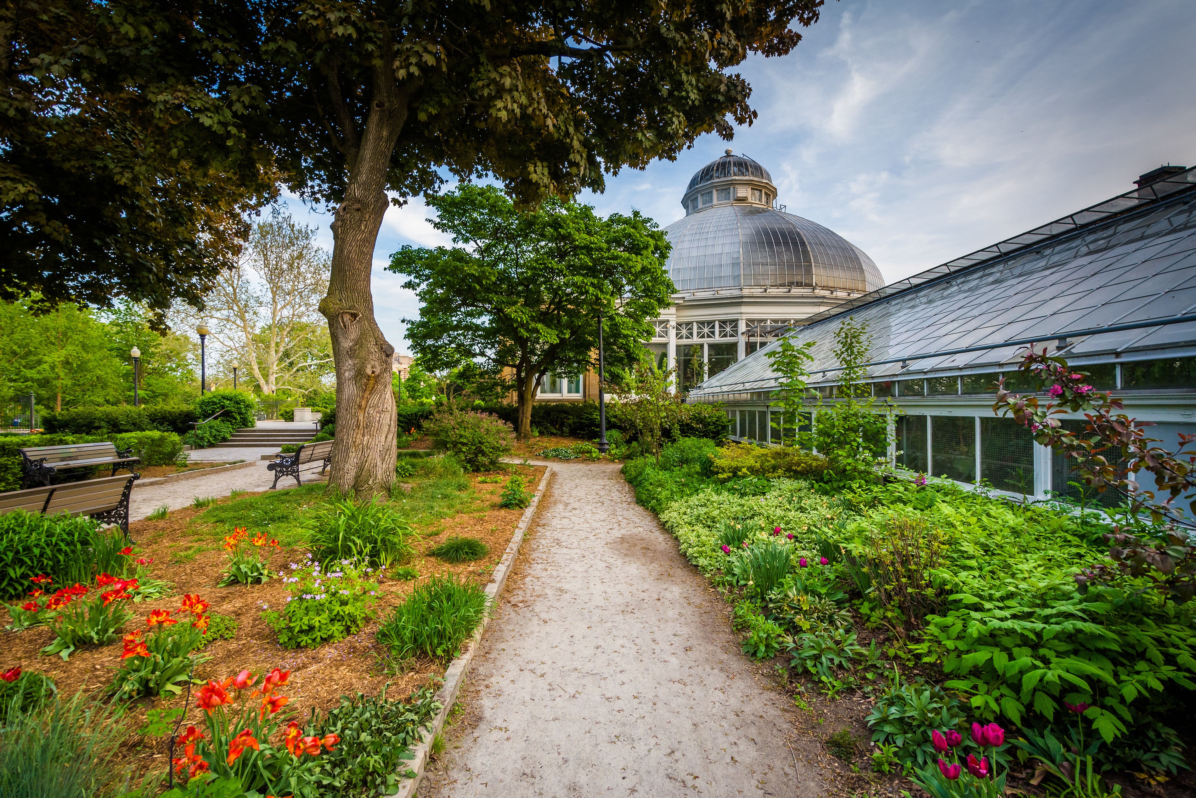 Allan Gardens Conservatory Toronto
