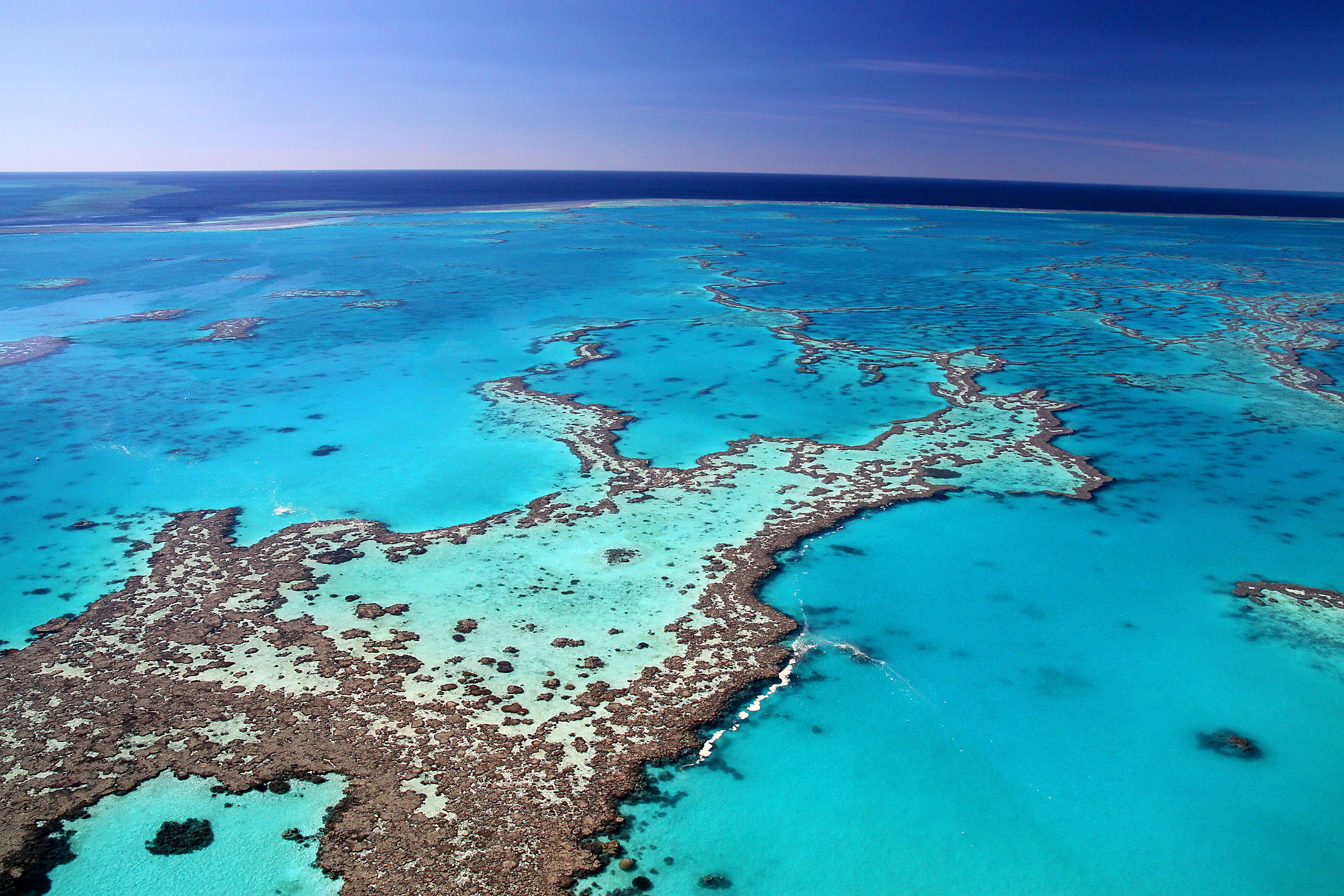 Крупнейший остров у берегов австралии. Великий Барьерный риф Австралия. Коралловый Барьерный риф в Австралии. Большой Барьерный риф (the great Barrier Reef). Кораллы на рифе в Австралии.