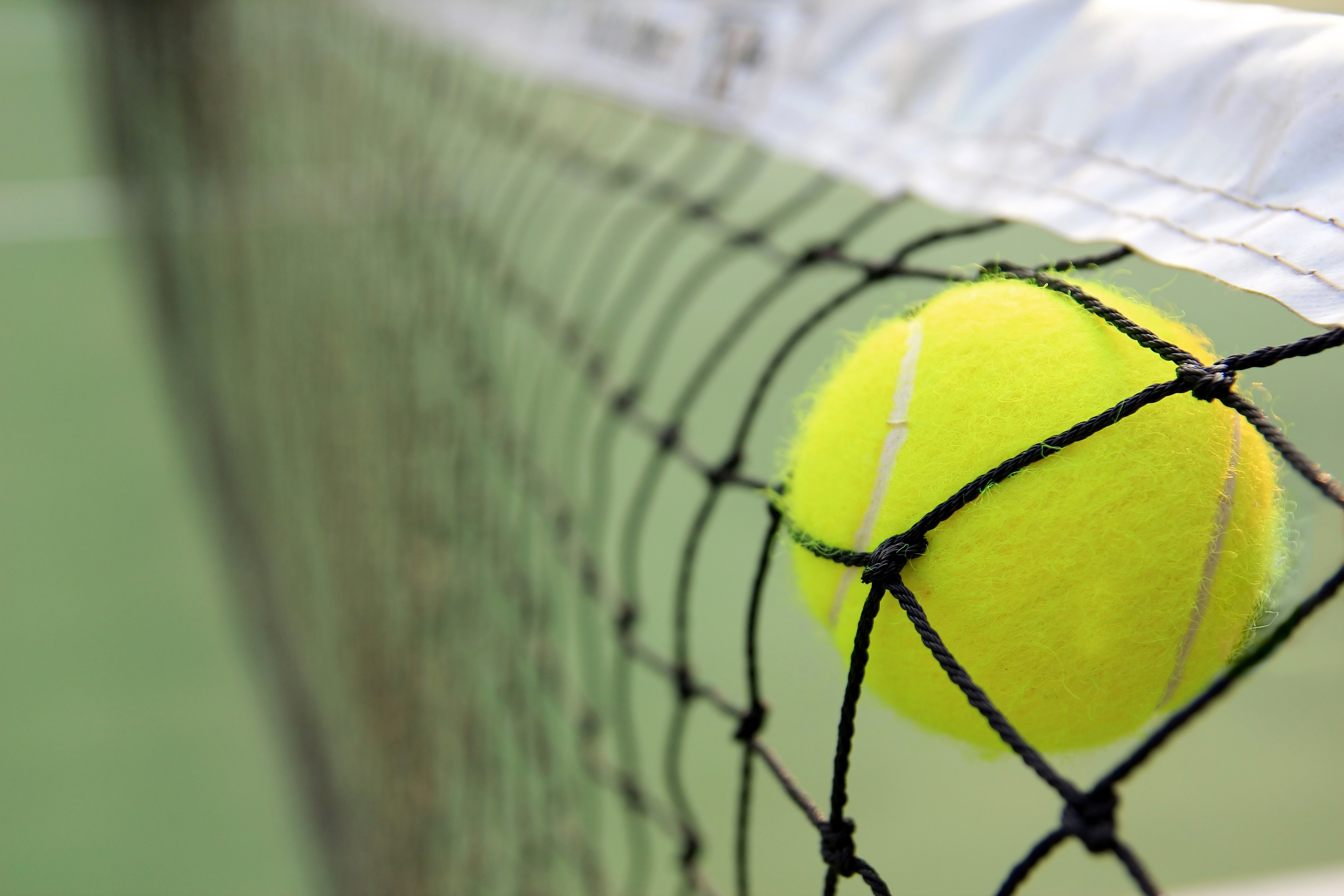 Теннис сетка игры. Теннисный мяч на корте. Теннисная сетка. Сетка для теннисных мячей. Теннис сетка мяч.
