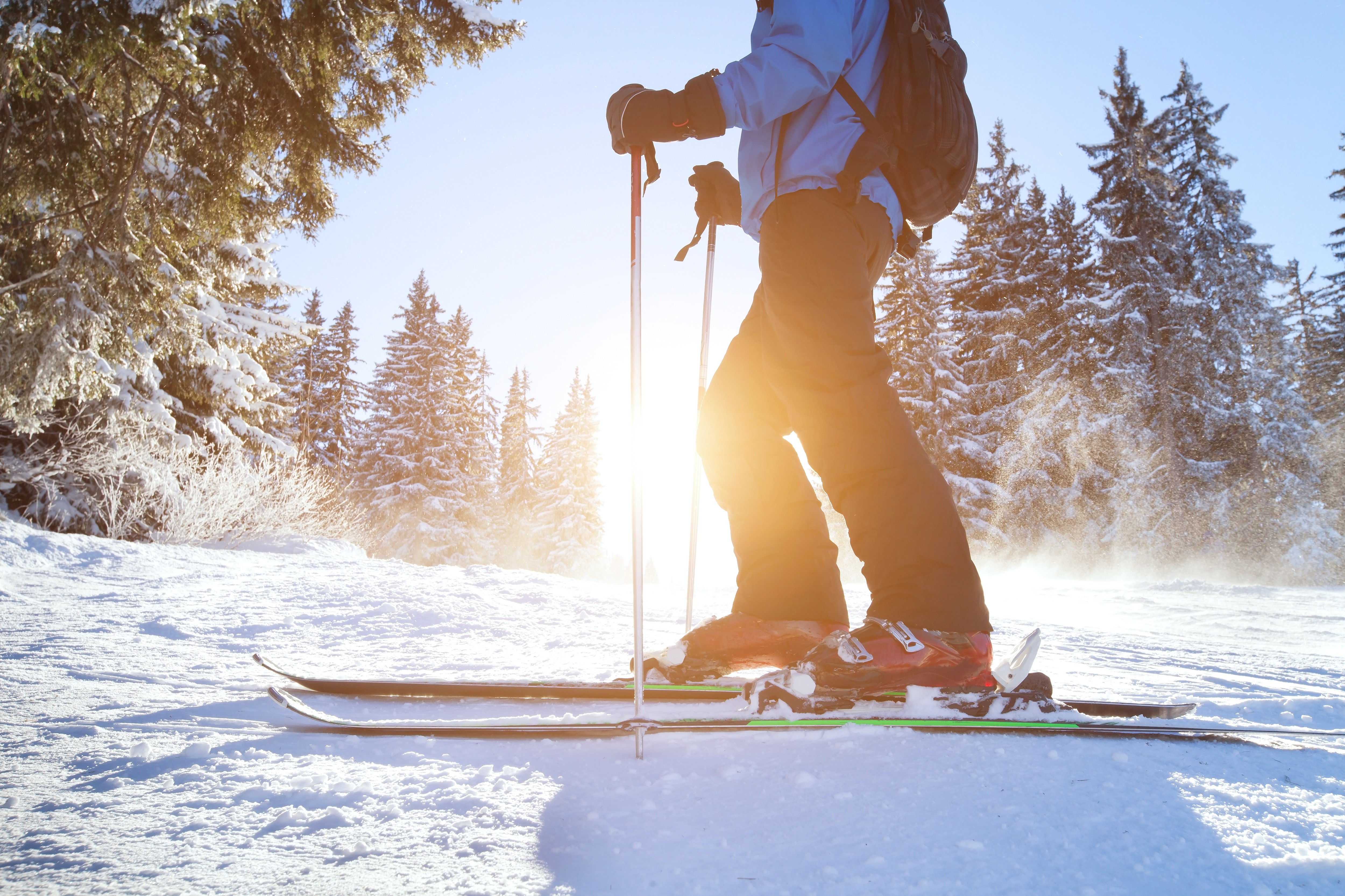 Увлекается катанием на лыжах. Лыжник в лесу. Катание на лыжах. Лыжная прогулка в лесу. Зимние лыжи.